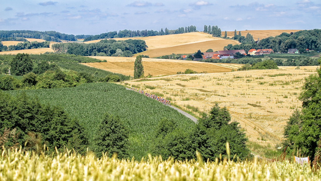 - korona_kocich_gor_2014_031.jpg