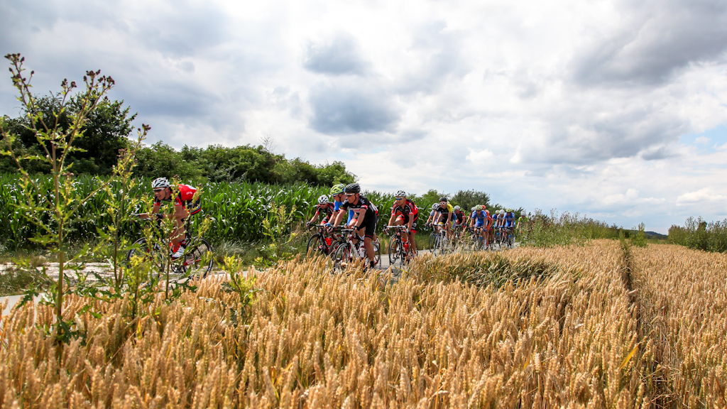 - korona_kocich_gor_2014_062.jpg