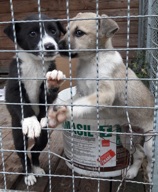 - 20160921_090013.jpg - 20160921_090013.jpg