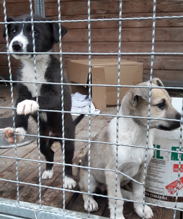 - 20160921_090025.jpg - 20160921_090025.jpg