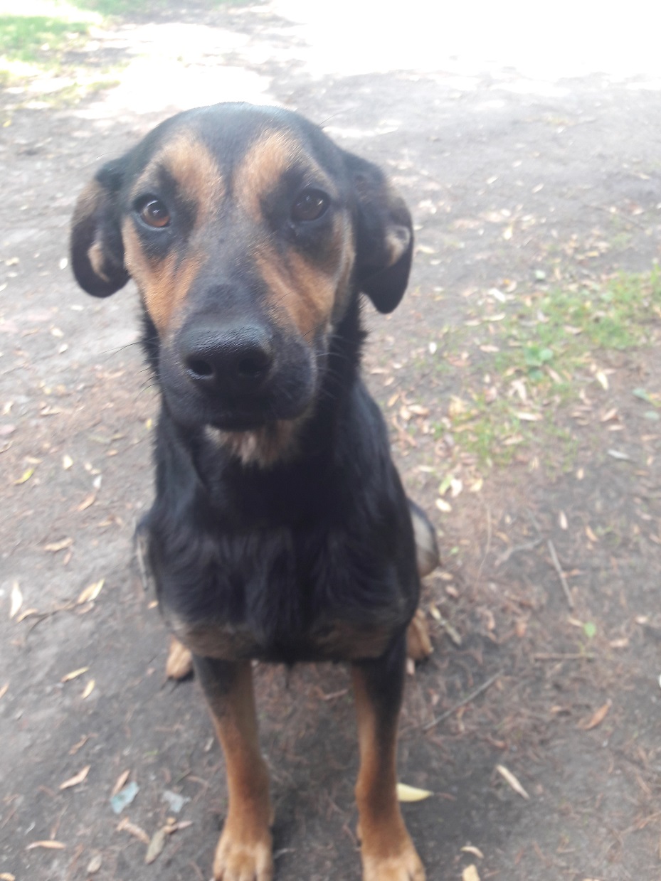 - 20180522_115135.jpg