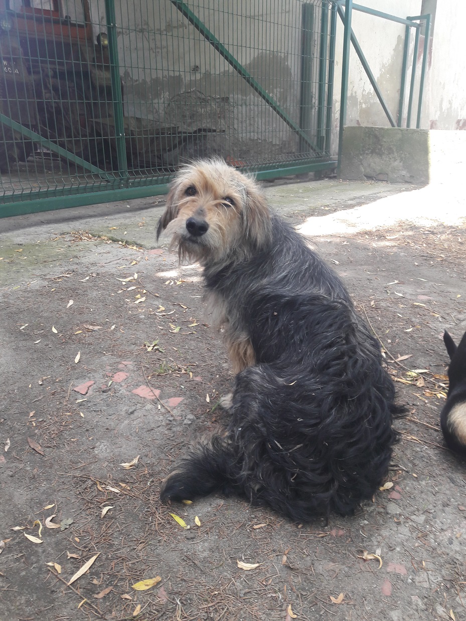 - 20180522_115214.jpg