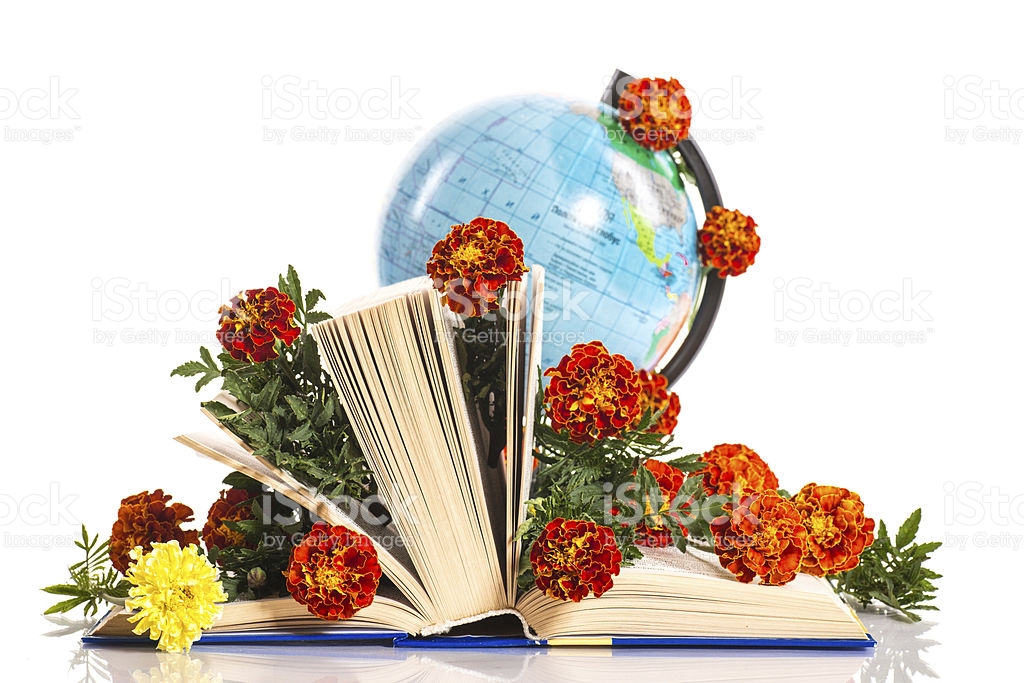 - dzien_edukacji_narodowej_2016.jpg