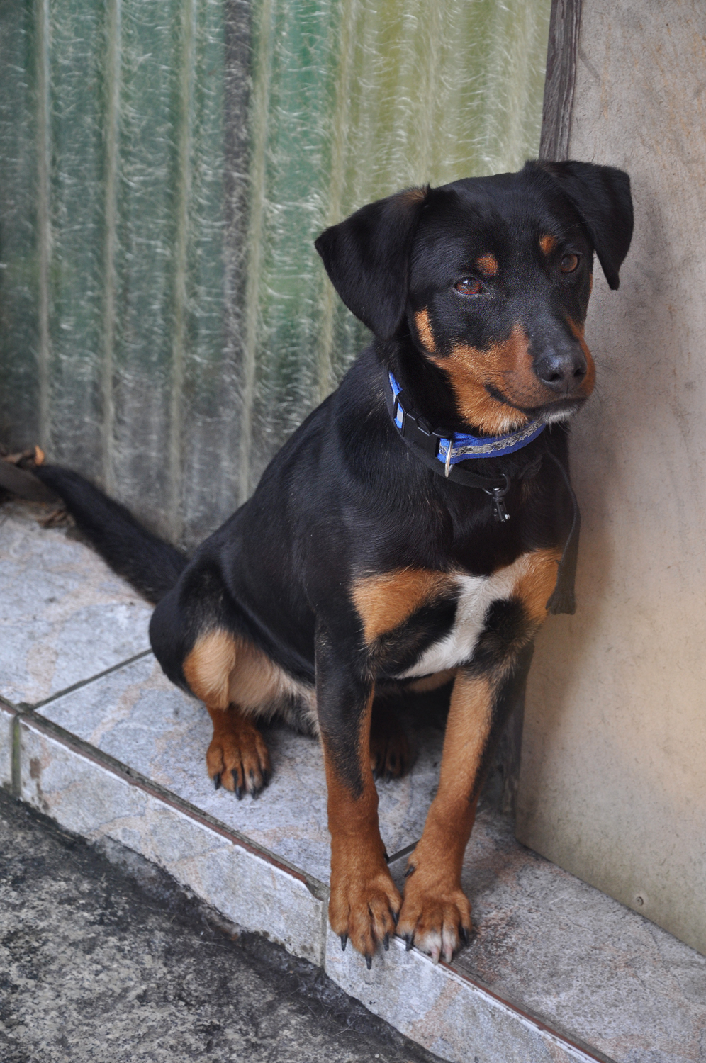 - skotniki_30_01_2017.jpg